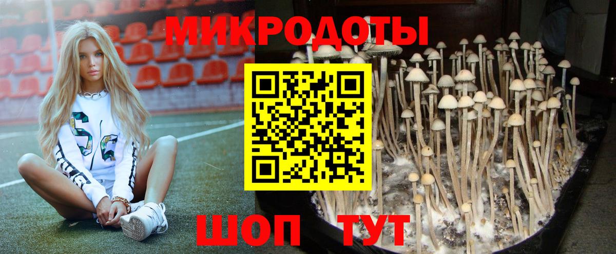 Галлюциногенные грибы Psilocybine cubensis Амурск