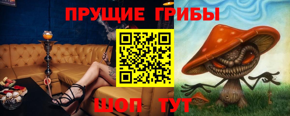 Галлюциногенные грибы Psilocybine cubensis  Вход с VPN  Амурск 